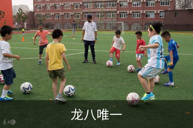龙八唯一